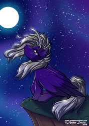 Size: 905x1280 | Tagged: safe, artist:sonicsweeti, oc, oc only, oc:moonflare, pegasus, pony, digital art, large wings, moon, night, sitting, solo, stars, wings