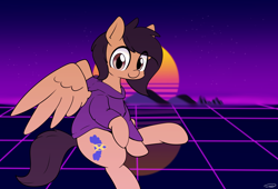 Size: 2682x1828 | Tagged: safe, artist:taurson, oc, oc only, oc:crisom chin, pegasus, pony, clothes, hoodie, retro, retrowave, solo, wings