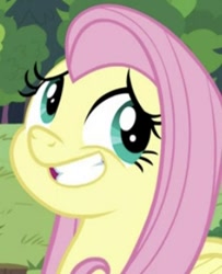 Size: 257x316 | Tagged: safe, screencap, fluttershy, pegasus, pony, g4, memnagerie, spoiler:memnagerie, spoiler:mlp friendship is forever, cropped, faic, female, mare, solo