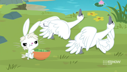 Size: 1280x720 | Tagged: safe, screencap, angel bunny, bird, rabbit, swan, g4, memnagerie, my little pony: friendship is forever, animal, male