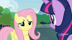Size: 1280x720 | Tagged: safe, screencap, fluttershy, twilight sparkle, alicorn, pegasus, pony, g4, memnagerie, my little pony: friendship is forever, duo, female, mare, sad, twilight sparkle (alicorn)