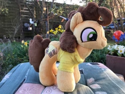 Size: 1280x960 | Tagged: safe, artist:tamlana, cheese sandwich, pony, g4, irl, photo, plushie, solo