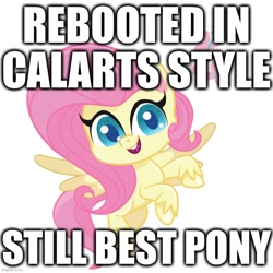 Size: 700x700 | Tagged: safe, fluttershy, pegasus, pony, g4, g4.5, my little pony: pony life, best pony, calarts, calarts smile, caption, image macro, reboot, reboot series, text