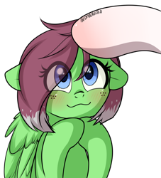 Size: 1000x1100 | Tagged: safe, artist:cottonsweets, oc, oc only, oc:cottonsweets, oc:watermelon success, pegasus, pony, :3, blushing, freckles, petting, simple background, transparent background