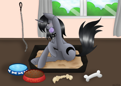 Size: 2048x1448 | Tagged: safe, artist:vaiola, oc, oc:howl, pony, ball, behaving like a dog, bone, chains, chew toy, collar, commission, full body, pet bed, pet bowl, pet play, pet tag, pony pet, solo, spiked collar