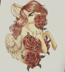 Size: 1080x1203 | Tagged: safe, artist:hardtimebreathing, oc, oc only, pegasus, pony, flower, misleading thumbnail, solo, traditional art, watercolor painting