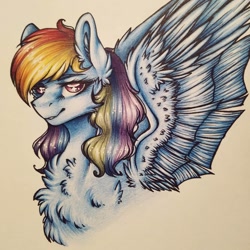 Size: 1080x1080 | Tagged: safe, artist:hardtimebreathing, rainbow dash, pony, g4, bust, chest fluff, confident, cool, female, portrait, smiling, solo, traditional art