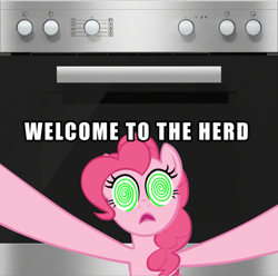 Size: 803x798 | Tagged: safe, pinkie pie, earth pony, pony, g4, bad pun, german, meme, pun, read description, stove, swirly eyes, welcome to the herd