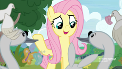 Size: 1280x720 | Tagged: safe, screencap, fluttershy, pegasus, pony, g4, memnagerie, my little pony: friendship is forever