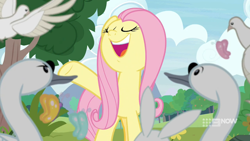 Size: 1280x720 | Tagged: safe, screencap, fluttershy, pegasus, pony, g4, memnagerie, my little pony: friendship is forever