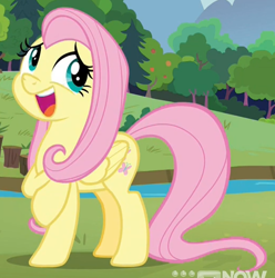 Size: 518x522 | Tagged: safe, screencap, fluttershy, pegasus, pony, g4, memnagerie, spoiler:memnagerie, spoiler:mlp friendship is forever, cropped, female, folded wings, mare, solo, wings