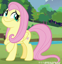 Size: 508x524 | Tagged: safe, screencap, fluttershy, pegasus, pony, g4, memnagerie, spoiler:memnagerie, spoiler:mlp friendship is forever, cropped, duckery in the comments, female, folded wings, solo, wings