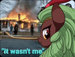 Size: 1164x880 | Tagged: safe, artist:mangoswirl13, cinder glow, summer flare, human, kirin, g4, blatant lies, denial, disaster girl, fire, firefighter, hose, house fire, implied nirik, irl, irl human, it wasn't me, looking at you, looking back, photo, smiling, solo, this ended in fire