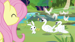 Size: 1280x720 | Tagged: safe, screencap, angel bunny, fluttershy, bird, pegasus, pony, swan, g4, memnagerie, my little pony: friendship is forever, 9now, smiling