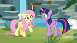 Size: 1920x1080 | Tagged: safe, screencap, fluttershy, twilight sparkle, alicorn, bird, butterfly, hummingbird, pegasus, pony, swan, g4, memnagerie, my little pony: friendship is forever, 9now, animal, animated, female, flower, food, hiding, looking at someone, running away, sigh, smiling, sound, talking, twilight sparkle (alicorn), webm, wings