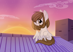 Size: 2651x1874 | Tagged: source needed, useless source url, safe, artist:per_siiik, oc, oc only, oc:katya, pegasus, pony, base used, female, glasses, house, mare, photo, roof, rooftop, solo, sunset