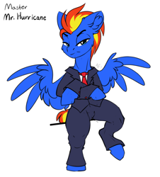 Size: 3500x3873 | Tagged: safe, artist:airfly-pony, oc, oc only, oc:wing hurricane, pegasus, pony, high res, male, pegasus oc, solo, stallion