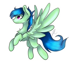 Size: 720x630 | Tagged: safe, artist:w0lfgirl666, oc, oc only, oc:dex bolts, pegasus, pony, chest fluff, male, redesign, simple background, solo, spread wings, stallion, white background, wings