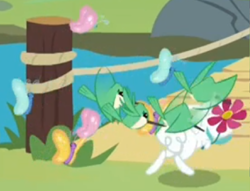 Size: 1180x900 | Tagged: safe, edit, edited screencap, screencap, angel bunny, bird, hummingbird, g4, memnagerie, spoiler:memnagerie, spoiler:mlp friendship is forever, 9now, bridge, chase, cropped, flower, outdoors, watermark