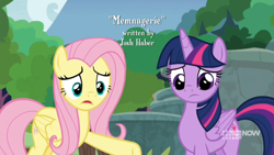 Size: 1600x900 | Tagged: safe, screencap, fluttershy, twilight sparkle, alicorn, pony, g4, memnagerie, spoiler:memnagerie, spoiler:mlp friendship is forever, 9now, credits, josh haber, outdoors, sweet feather sanctuary, title, twilight sparkle (alicorn), watermark, worried