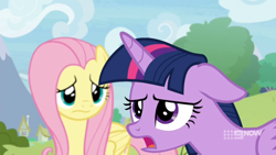 Size: 1600x900 | Tagged: safe, screencap, fluttershy, twilight sparkle, alicorn, pegasus, pony, g4, memnagerie, my little pony: friendship is forever, 9now, disappointed, displeased, duo, female, floppy ears, frown, groan, mare, outdoors, sigh, twilight sparkle (alicorn), twilight sparkle is not amused, unamused, watermark