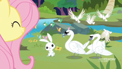 Size: 1600x900 | Tagged: safe, screencap, angel bunny, eloise, fluttershy, josephine, bird, dove, hummingbird, swan, g4, memnagerie, my little pony: friendship is forever, 9now, flower, grass, herbert, outdoors, river, smiling, unamused, upset, watermark