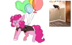 Size: 1263x788 | Tagged: dead source, safe, artist:ametff3, pinkie pie, dog, earth pony, pony, g4, balloon, comparison, floating, goggles, harness, irl, meme, photo, ponified meme, solo, then watch her balloons lift her up to the sky, vulgar description