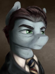 Size: 1280x1724 | Tagged: safe, artist:kelkessel, oc, oc only, oc:picket fence, earth pony, pony, equestria at war mod, bust, male, necktie, portrait, solo