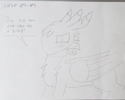 Size: 2231x1783 | Tagged: safe, artist:sketchwork_gd_inuk, gallus, griffon, g4, birb, black and white, blushing, dialogue, grayscale, male, monochrome, solo, traditional art