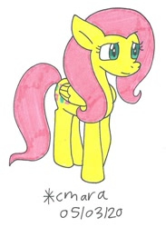 Size: 738x1010 | Tagged: safe, artist:cmara, fluttershy, pegasus, pony, g4, cute, female, mare, shyabetes, solo, traditional art