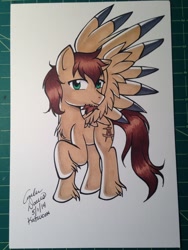 Size: 960x1280 | Tagged: safe, artist:sonicsweeti, oc, oc only, pegasus, pony, commission, cutie mark, male, simple background, stallion, traditional art, white background, wings