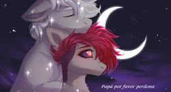 Size: 2949x1596 | Tagged: safe, artist:magicbalance, oc, oc only, earth pony, ghost, pony, rcf community, commission, eyes closed, hug, moon, sky, stars