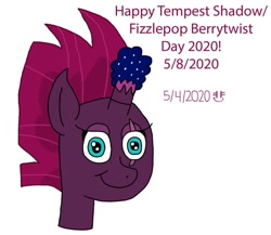 Size: 960x833 | Tagged: safe, artist:royalsmurf, artist:smurfettyblue, fizzlepop berrytwist, tempest shadow, pony, g4, female, simple background, solo, tempest day, white background