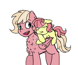 Size: 1024x854 | Tagged: safe, artist:scoot11, oc, oc only, oc:gala, oc:spring blossom, earth pony, pony, big sister, blank flank, chest fluff, deviantart watermark, drool, duo, female, filly, flower, flower in hair, foal, freckles, little sister, mare, obtrusive watermark, offspring, parent:big macintosh, parent:fluttershy, parents:fluttermac, ponies riding ponies, riding, siblings, simple background, sisters, sleeping, transparent background, watermark