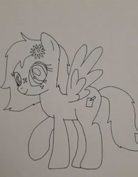 Size: 594x766 | Tagged: safe, artist:electric spark, oc, oc:whistle blossom, pegasus, pony, female, flower, flower in hair, freckles, looking at you, monochrome, pegasus oc, smiling, smiling at you, traditional art, wings, wip