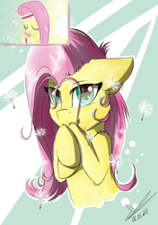 Size: 1200x1700 | Tagged: safe, artist:yuris, screencap, fluttershy, pegasus, pony, g4, hurricane fluttershy, abstract background, bust, cute, dandelion, ear fluff, female, floppy ears, hoof fluff, hooves to the chest, looking at you, mare, portrait, scene interpretation, screencap reference, shoulder fluff, shy, shyabetes, smiling, solo, stray strand, three quarter view