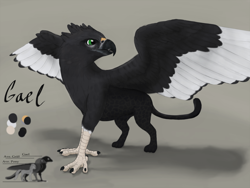 Size: 2560x1920 | Tagged: safe, artist:gammahoof, oc, oc only, oc:gael, griffon, high res, male, reference sheet, simple background, solo