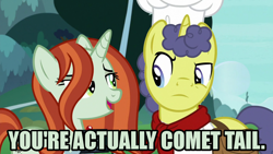 Size: 1280x720 | Tagged: safe, anonymous editor, edit, edited screencap, screencap, crackle cosette, queen chrysalis, stove comet, pony, unicorn, g4, the ending of the end, caption, disguise, disguised changeling, duo, female, image macro, implied comet tail, male, meme, stallion, text