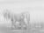 Size: 1300x1000 | Tagged: safe, artist:inersdraco, applejack, earth pony, pony, g4, applejack (g5 concept leak), female, g5 concept leak style, g5 concept leaks, monochrome, rain, solo