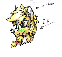 Size: 1836x1700 | Tagged: safe, artist:creature.exist, applejack, earth pony, pony, g4, solo, traditional art