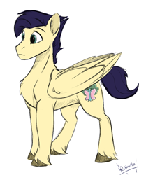 Size: 1105x1323 | Tagged: safe, artist:rutkotka, oc, pegasus, pony, commission, male, next generation, parent:fluttershy, stallion, standing