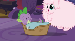 Size: 496x272 | Tagged: safe, artist:mixermike622, spike, oc, oc:fluffle puff, dragon, pony, g4, blanket, covered, cute, duo, flufflebetes, fluffy, pillow, sleeping, spike's bed, to be continued