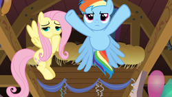 Size: 1920x1080 | Tagged: safe, screencap, fluttershy, rainbow dash, pegasus, pony, g4, the last roundup, balloon, barn