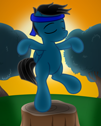 Size: 2643x3300 | Tagged: safe, artist:agkandphotomaker2000, oc, oc only, oc:pony video maker, pegasus, pony, bipedal, crane move, eyes closed, headband, high res, karate kid, male, reference, show accurate, solo, standing, standing on one leg, sunset, tree, tree stump