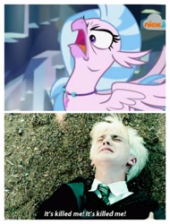 Size: 3106x4096 | Tagged: safe, edit, edited screencap, screencap, silverstream, classical hippogriff, hippogriff, human, g4, what lies beneath, angry, comparison, cute, diastreamies, draco malfoy, faic, harry potter and the prisoner of azkaban