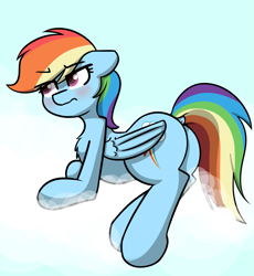 Size: 1319x1431 | Tagged: safe, artist:vipy, rainbow dash, pegasus, pony, g4, blushing, butt, chest fluff, dock, female, plot, rainbutt dash, simple background, solo, tail