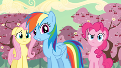 Size: 1920x1080 | Tagged: safe, screencap, fluttershy, pinkie pie, rainbow dash, earth pony, pegasus, pony, g4, the last roundup, cherry blossoms, cherry tree, flower, flower blossom, tree