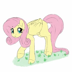 Size: 1024x1024 | Tagged: safe, artist:lionbun, fluttershy, pegasus, pony, g4, blushing, cute, dock, female, folded wings, looking at you, mare, missing cutie mark, raised hoof, shyabetes, simple background, solo, three quarter view, white background, wings