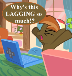 Size: 660x693 | Tagged: safe, artist:jan, edit, button mash, earth pony, don't mine at night, g4, beanie, colt, computer, cropped, curtains, foal, frustrated, hat, lag, laptop computer, male, propeller hat, speech, speech bubble, talking, window
