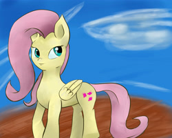Size: 5905x4724 | Tagged: safe, artist:guatergau5, fluttershy, pegasus, pony, g4